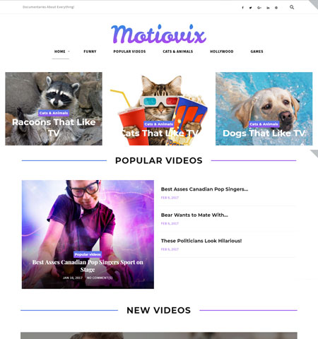 WordPress video theme