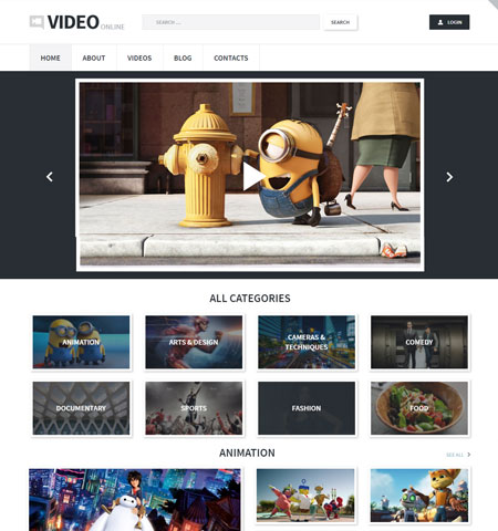 WordPress video theme