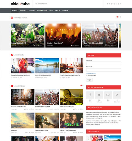 WordPress video theme