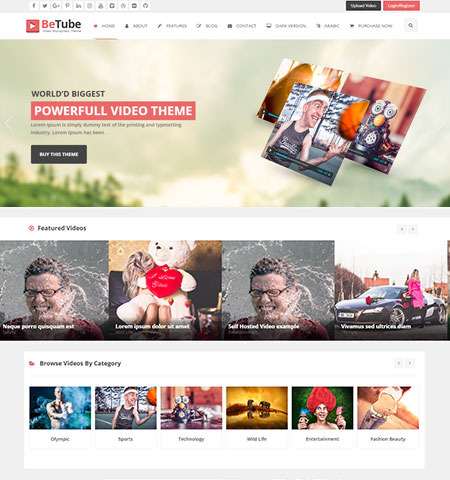 WordPress video theme