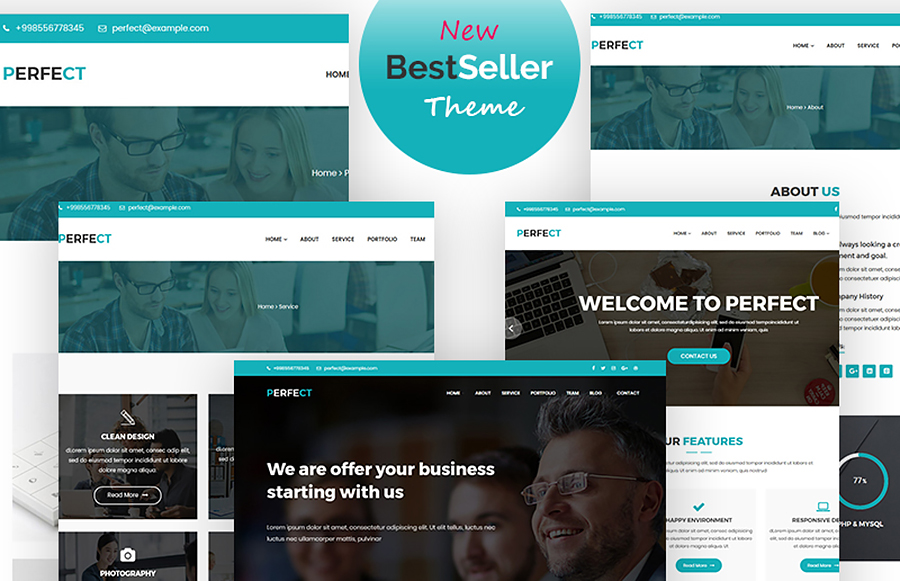 Perfect Corporate WordPress Theme