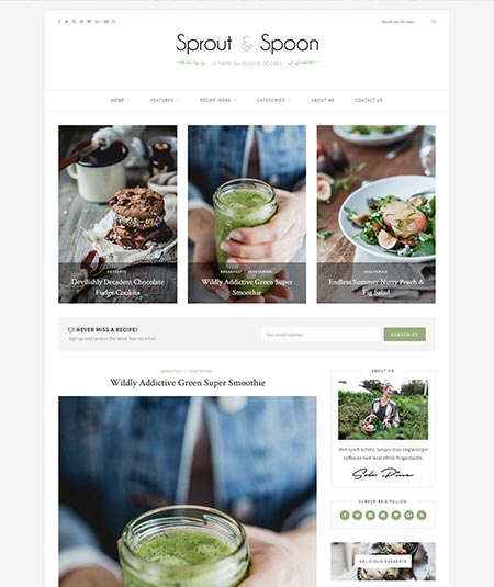 food recipes wordpress theme free download