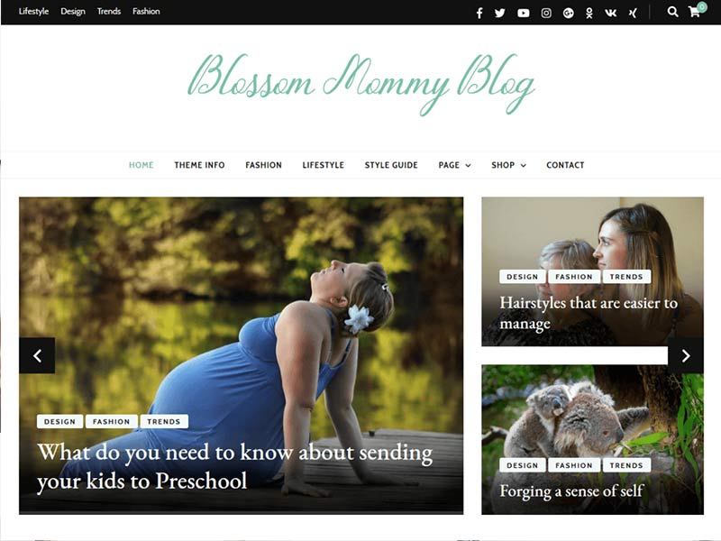 Blossom Mummy Blog