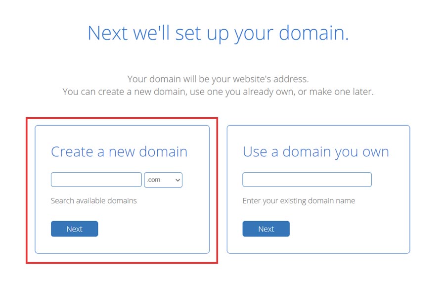 Select the domain name